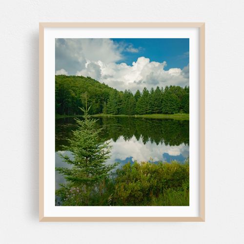Lake Alma, Averys Place 02