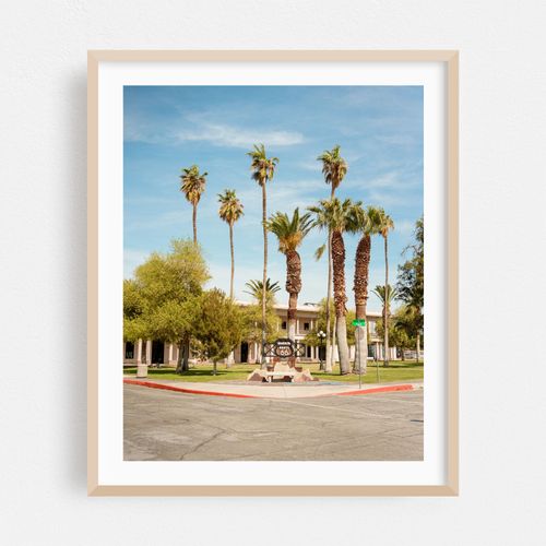 Palms in Needles
