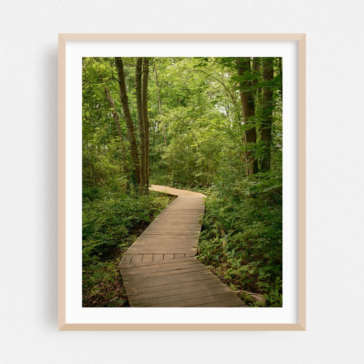 Lake Williams Trail, Marlborough 01 – image 1 of 12