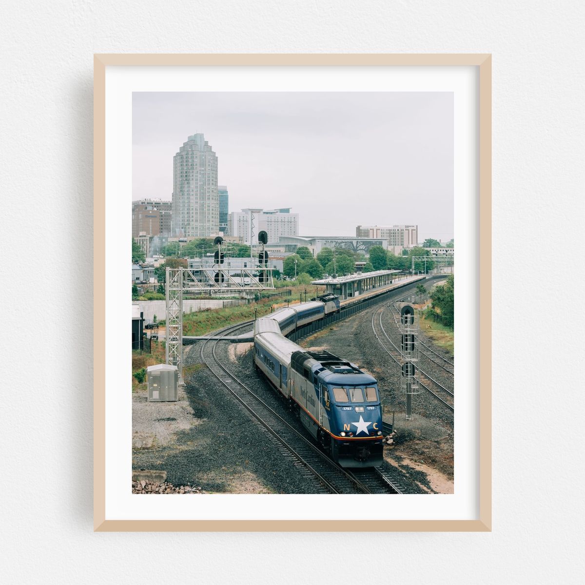 Rail, Raleigh 01 – image 1 of 12