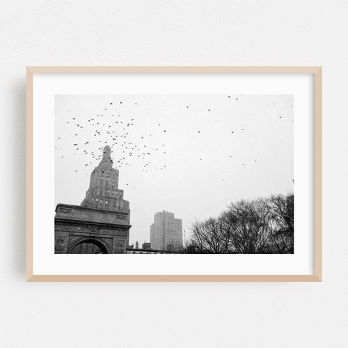 Pigeons over Washington Square Park 01