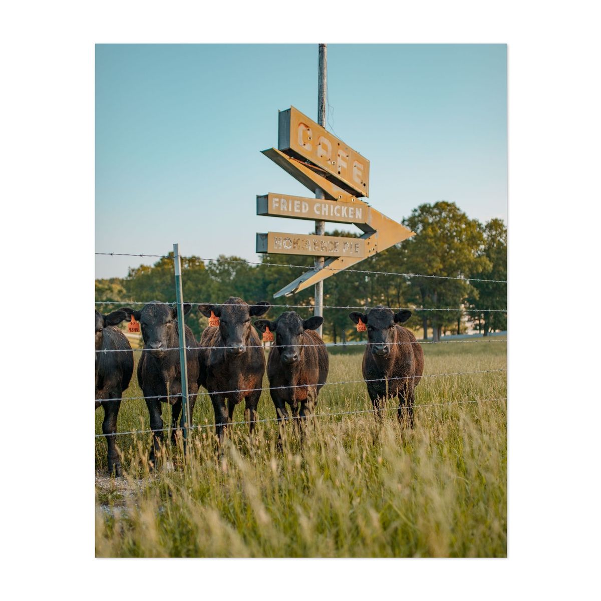 Satellite Cafe Sign – image 1 of 2