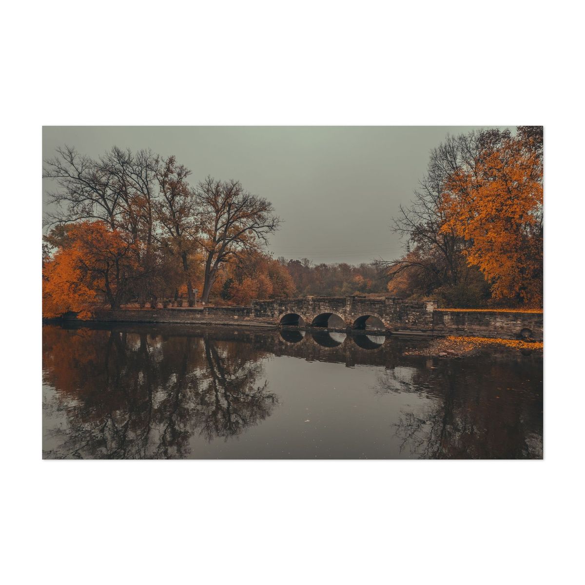 Autumn in Island Park – image 1 of 2