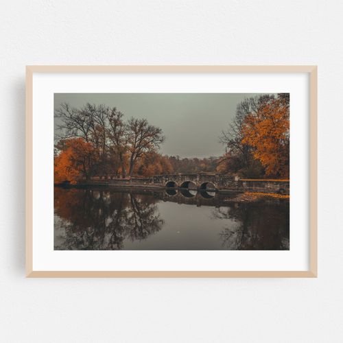 Autumn in Island Park