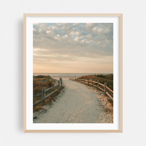 Avalon Dunes and Beach Trail