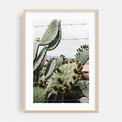 Wire Cactus