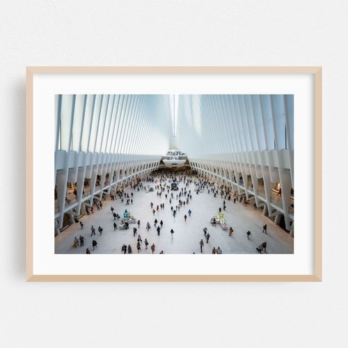 Oculus 08