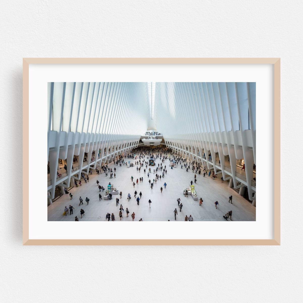 Oculus 08 – image 1 of 6