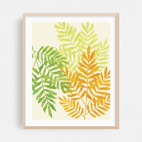 Indie Fern Trio