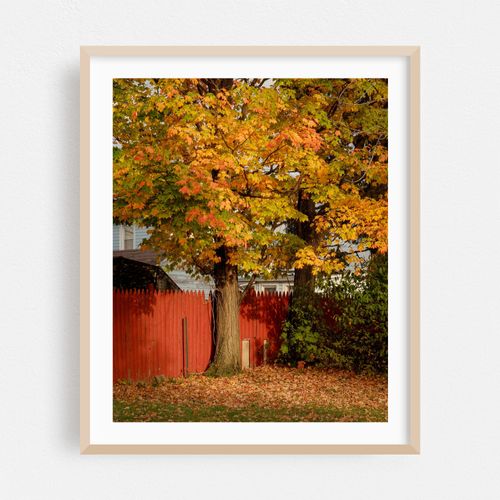 Autumn in Dunkirk