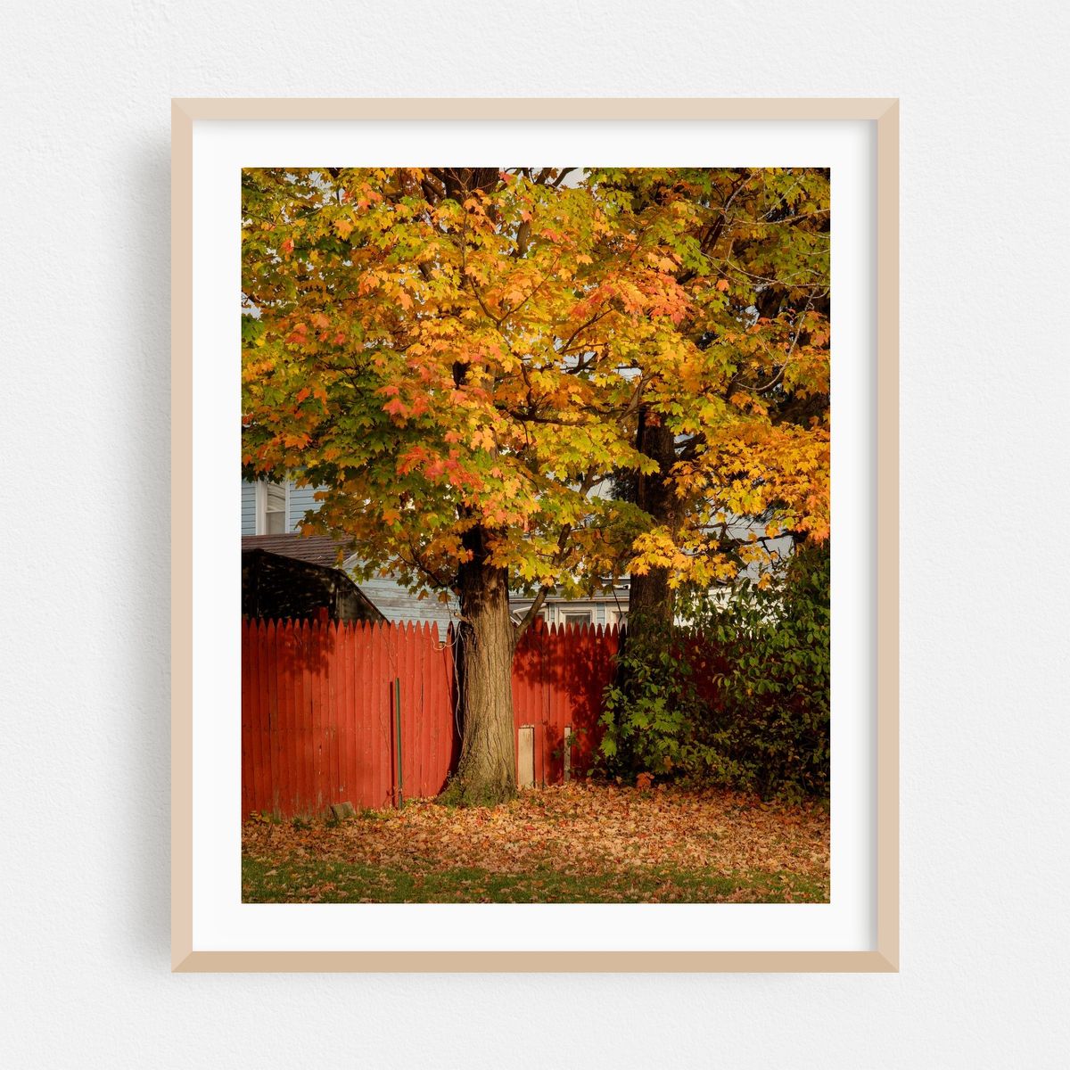Autumn in Dunkirk – image 1 of 12