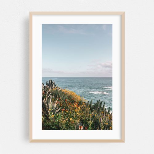 Treasure Island, Laguna 04