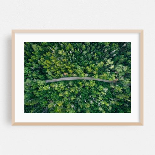 A Road Less Traveled