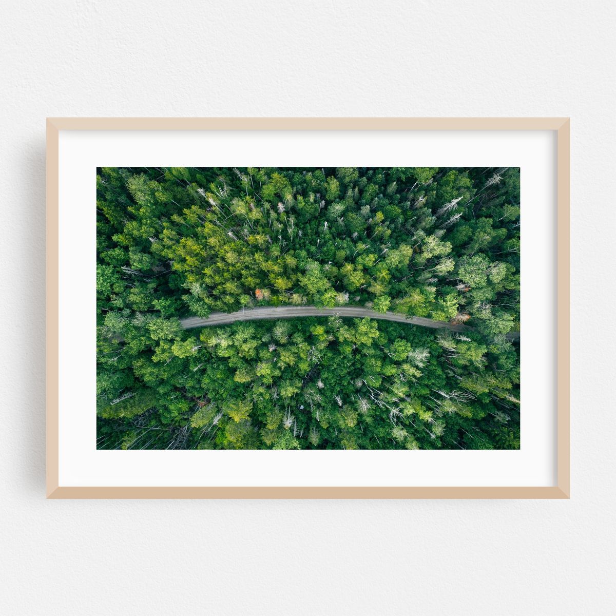 A Road Less Traveled – image 1 of 6