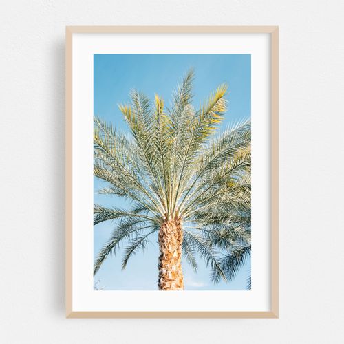 Palms, Palm Springs 04