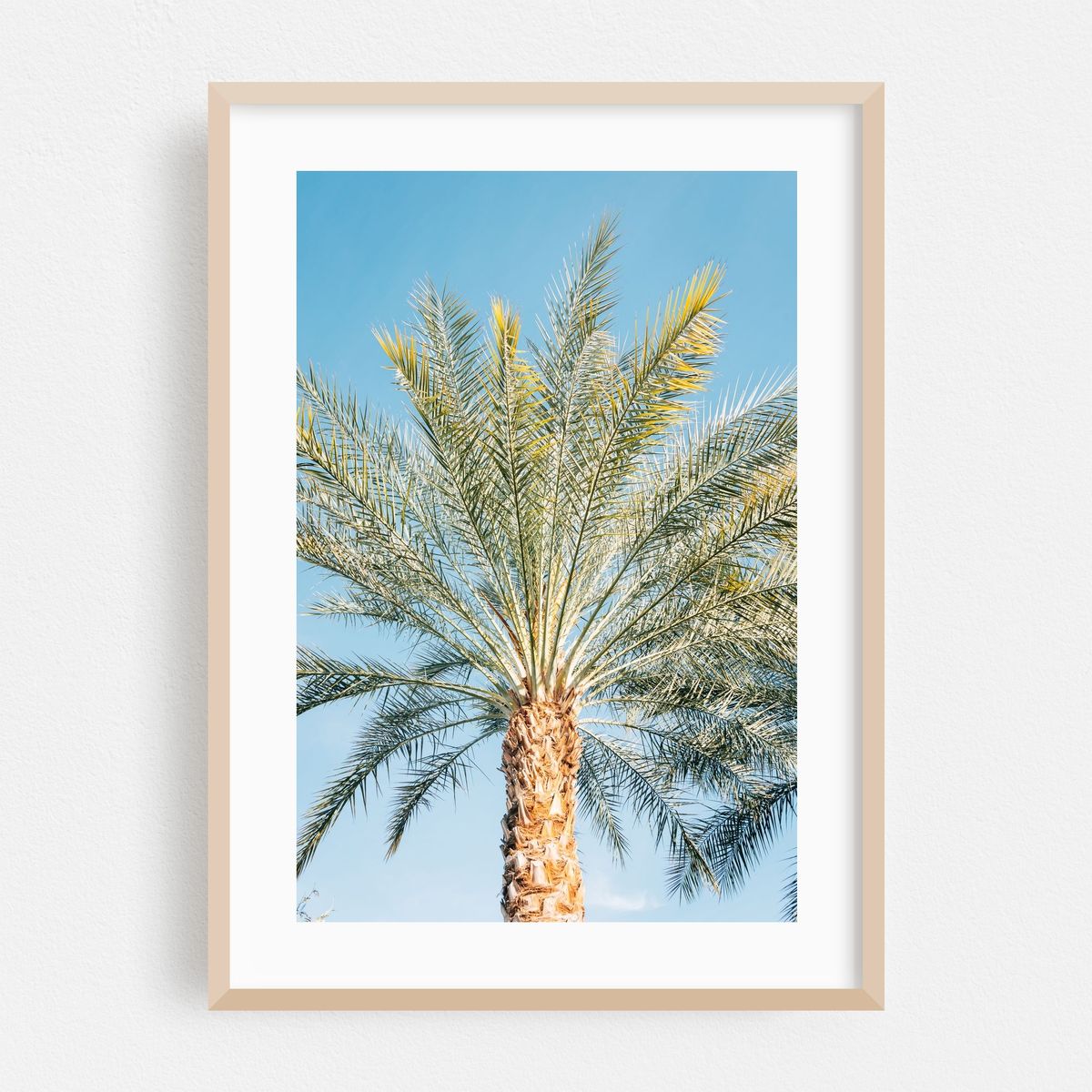 Palms, Palm Springs 04 – image 1 of 16