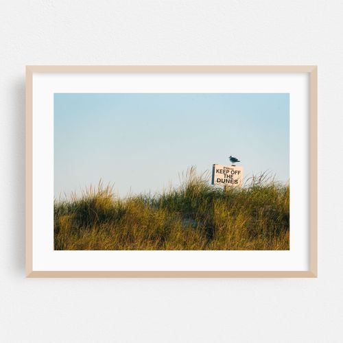 Keep Off The Dunes