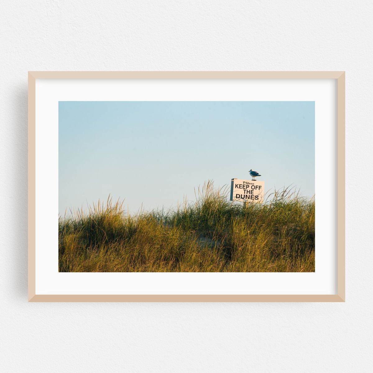 Keep Off The Dunes – image 1 of 6