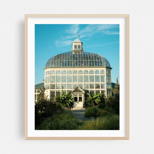 Rawlings Conservatory, Baltimore 03