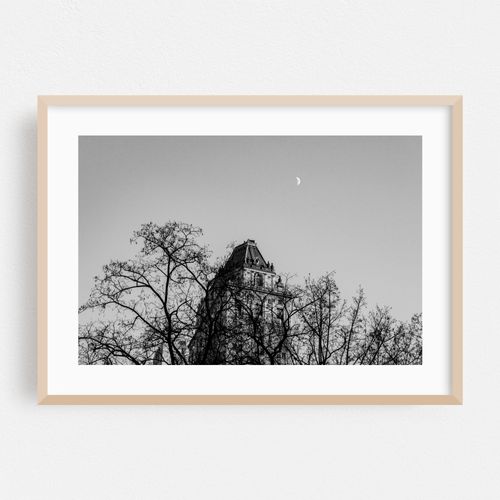 Moonlit Silhouette