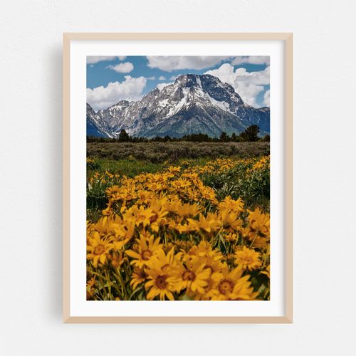 Blame It On the Tetons