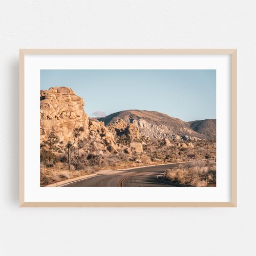 Joshua Tree Road 06