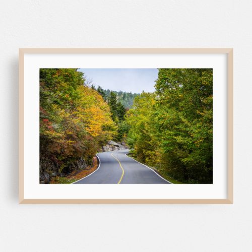 The Road to Grandfather Mountain