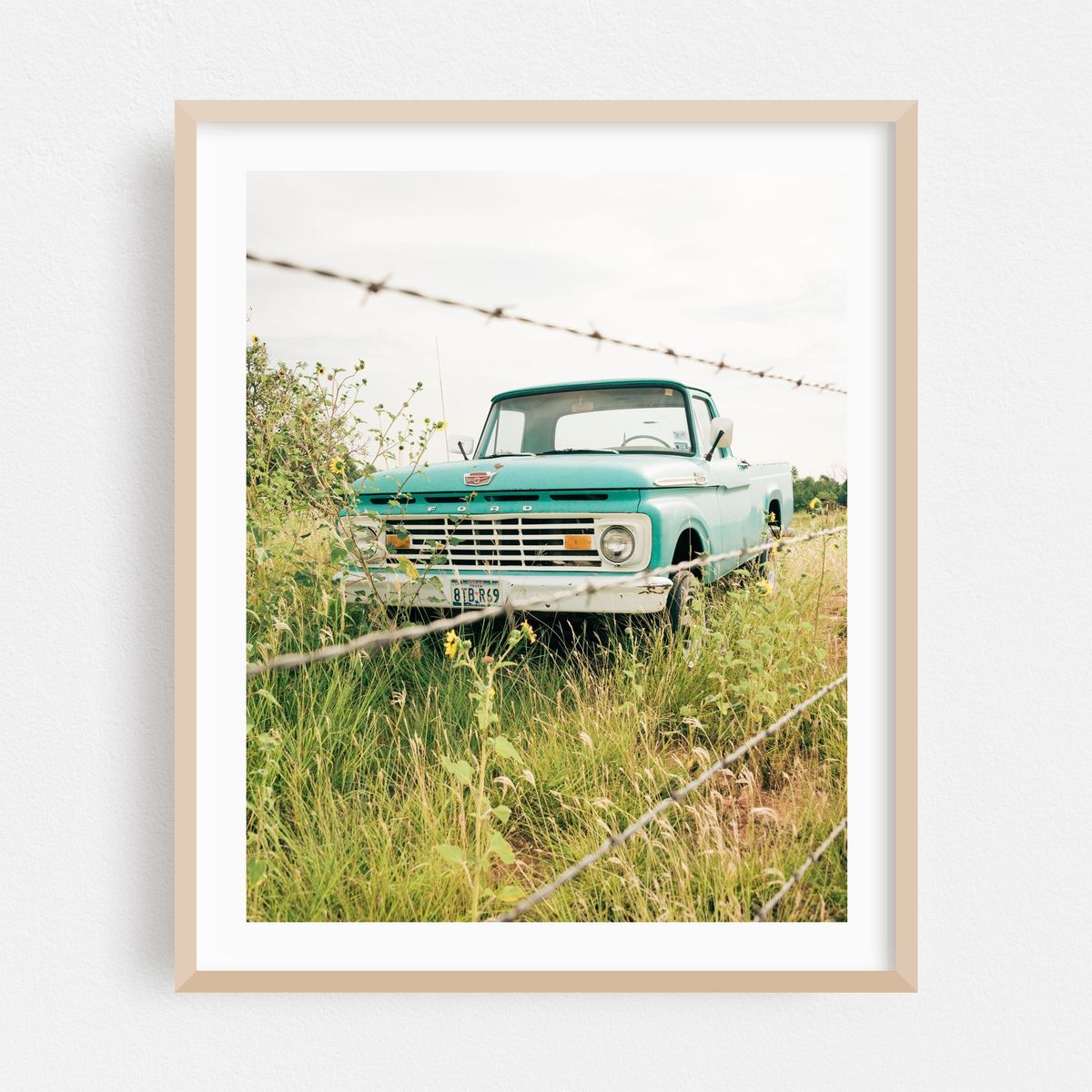 Old Ford, Shamrock 03 – image 1 of 12