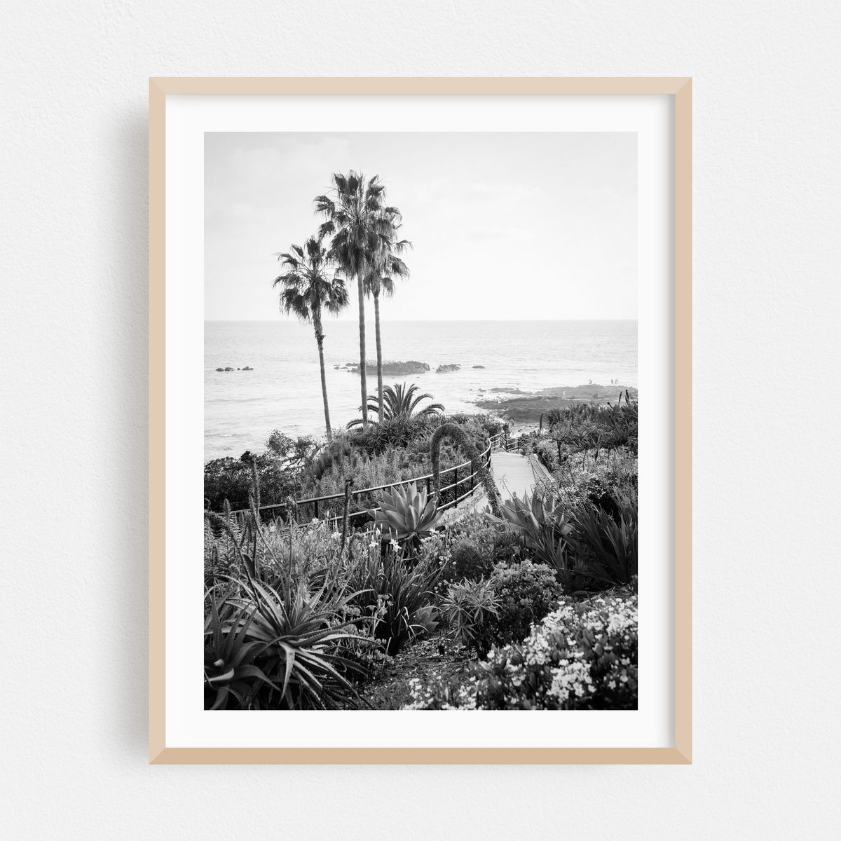 Heisler Park 02 B&W – image 1 of 3