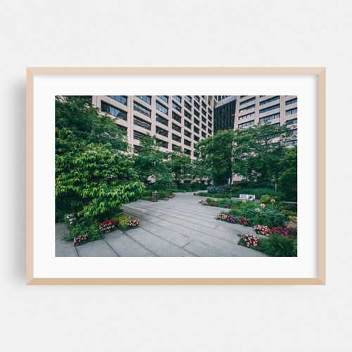 Elevated Acre 01