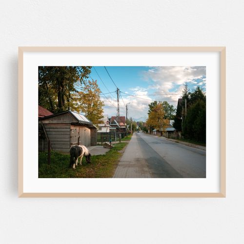 Street in Ząb 03