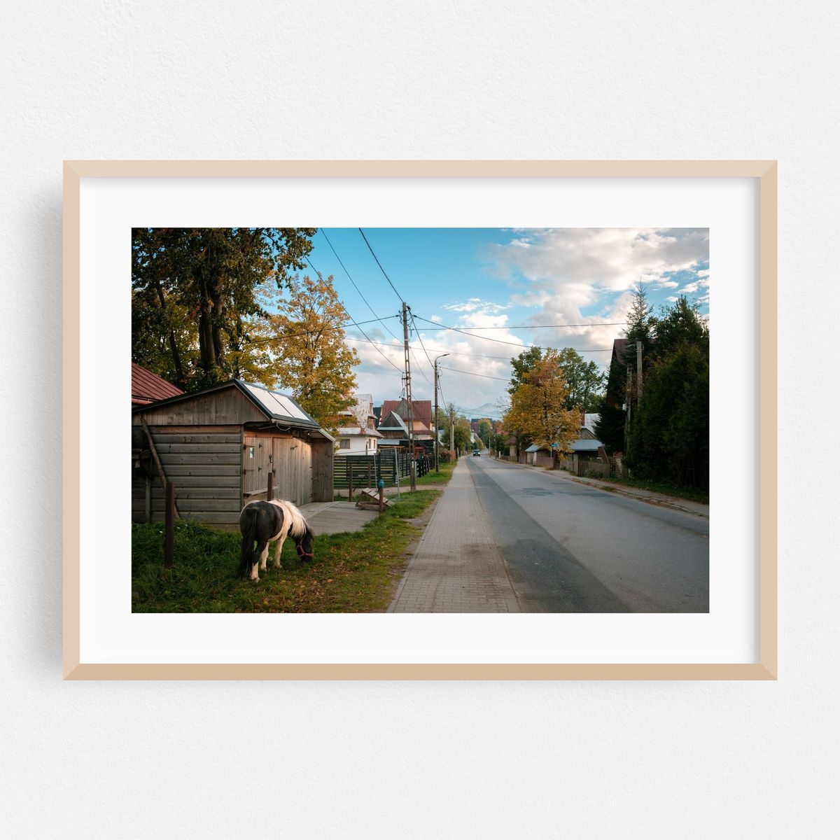 Street in Ząb 03 – image 1 of 6