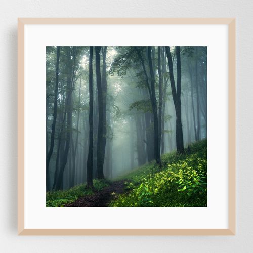 Eco