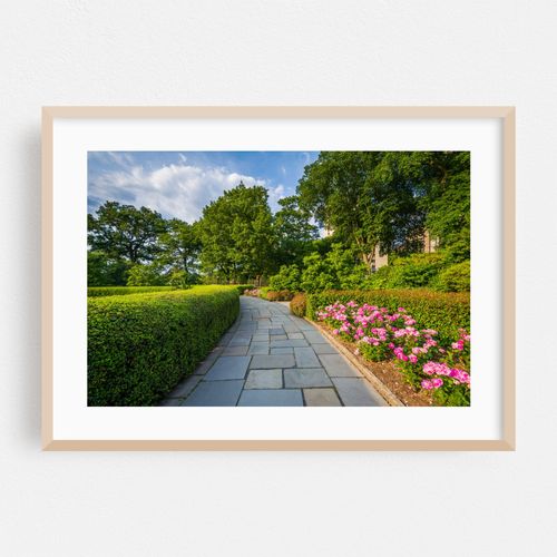 Conservatory Garden 01