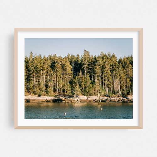 Pines, Sprucehead Island