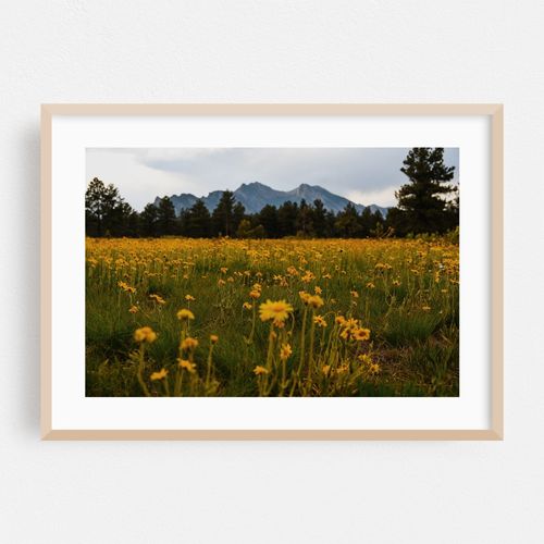 Flatirons Vista V