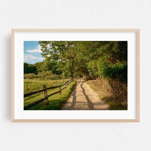 Trail at Hoyt Farm Nature Preserve, Commack 04