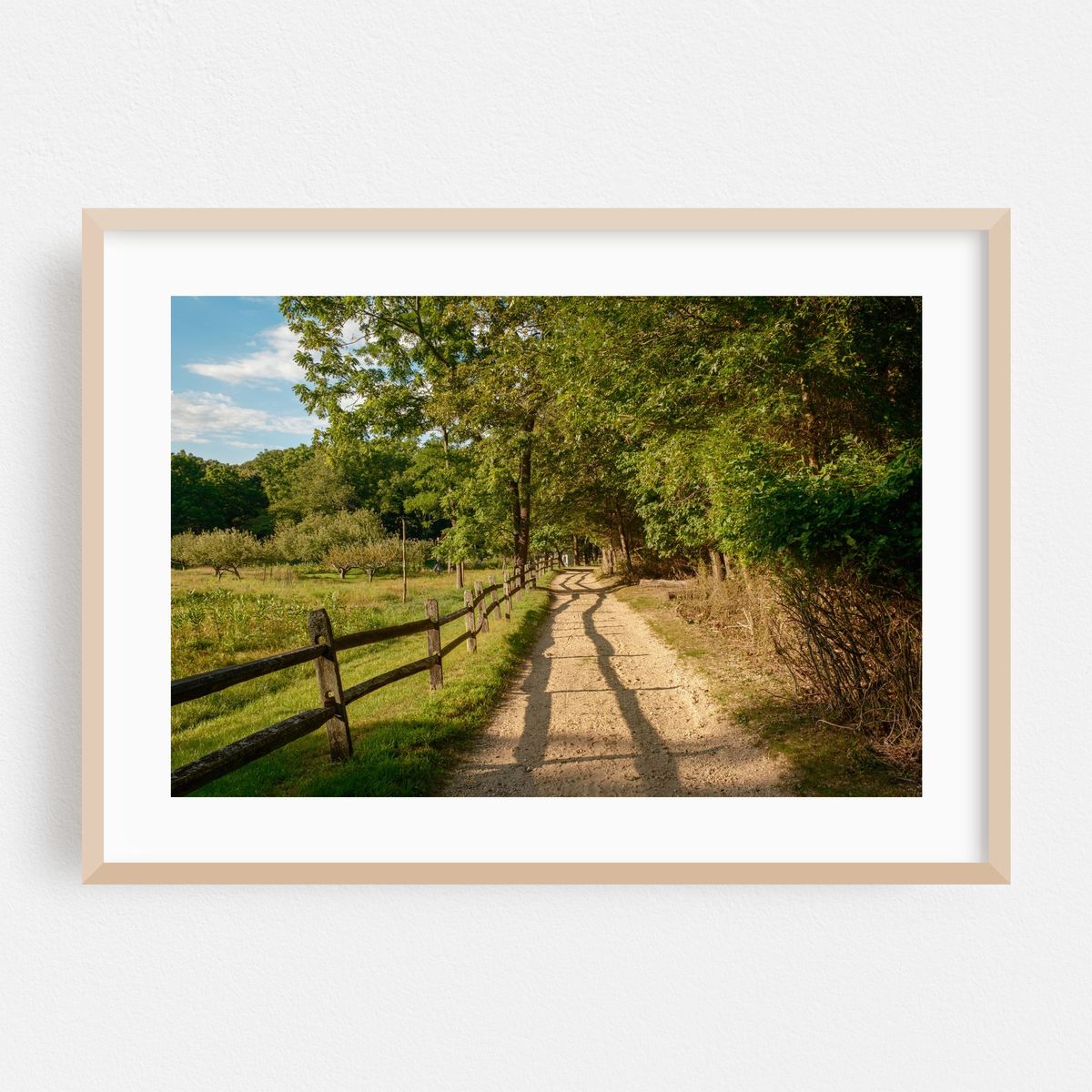 Trail at Hoyt Farm Nature Preserve, Commack 04 – image 1 of 6