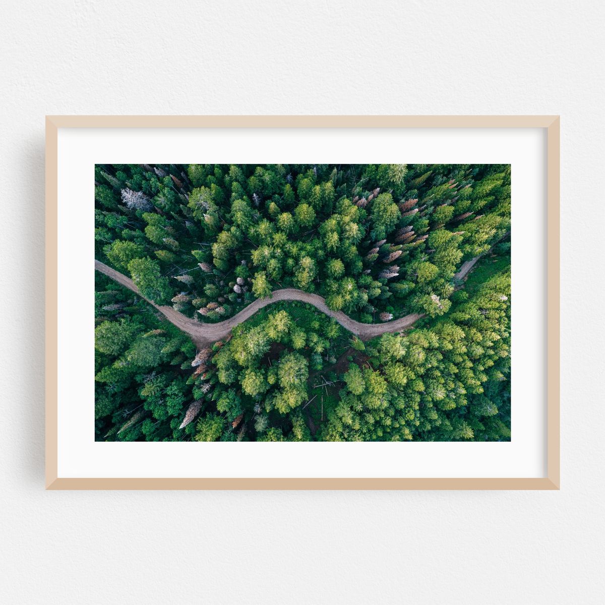 Curves – image 1 of 6