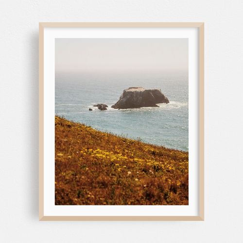 Coastal Rock in Bodega Bay
