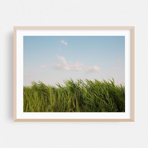 Green Island 02