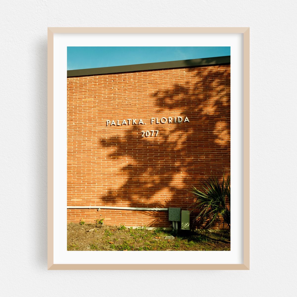 Post Office, Palatka – image 1 of 12