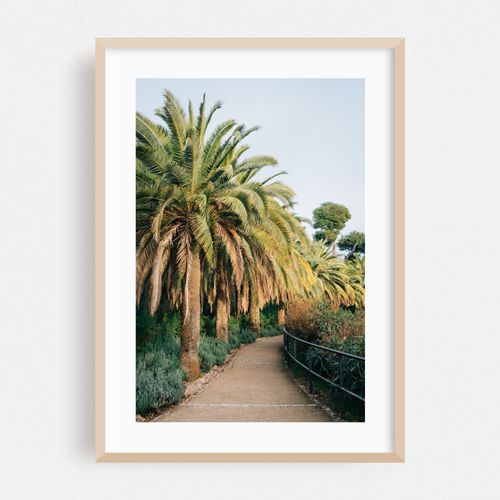 Park Guell Palms