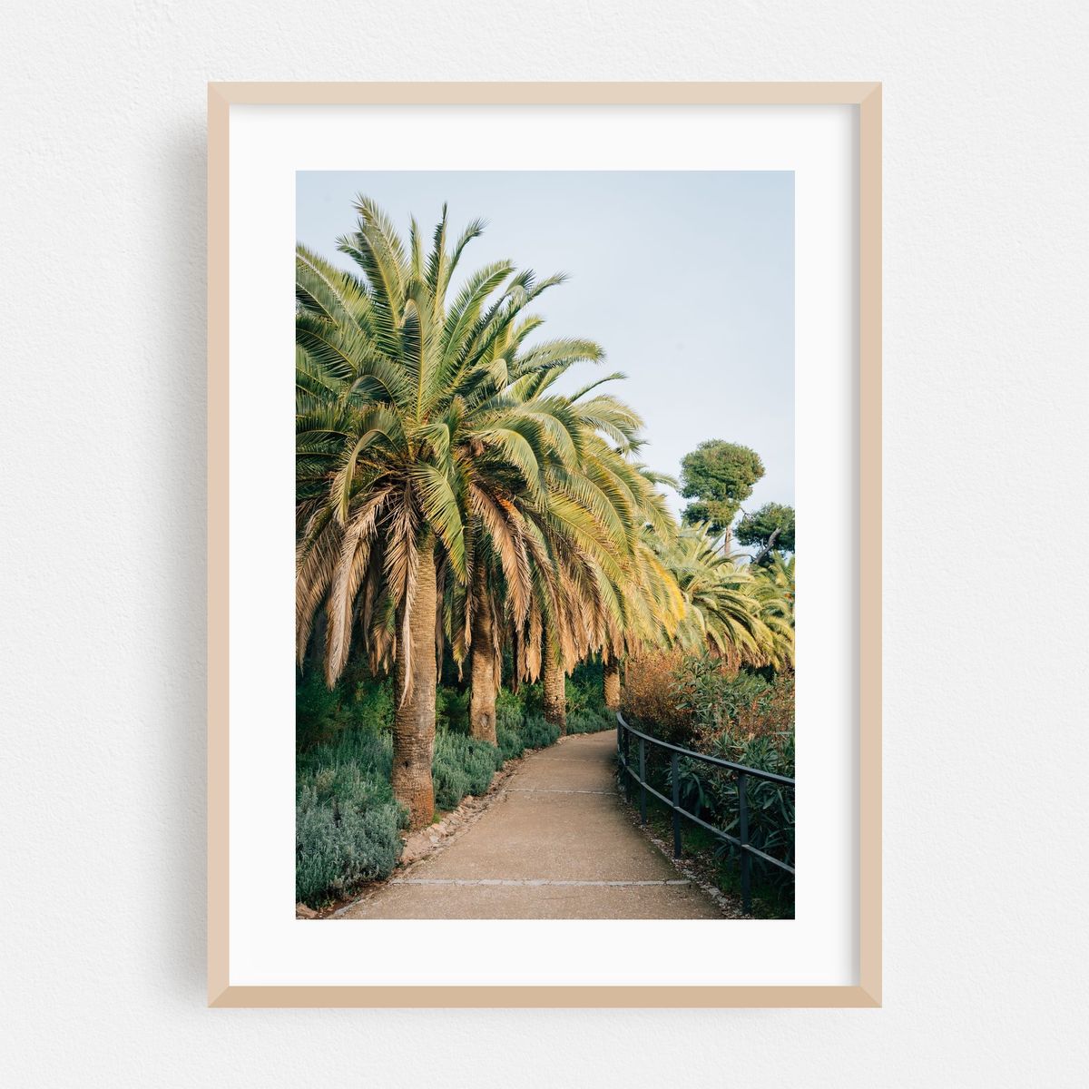 Park Guell Palms – image 1 of 16