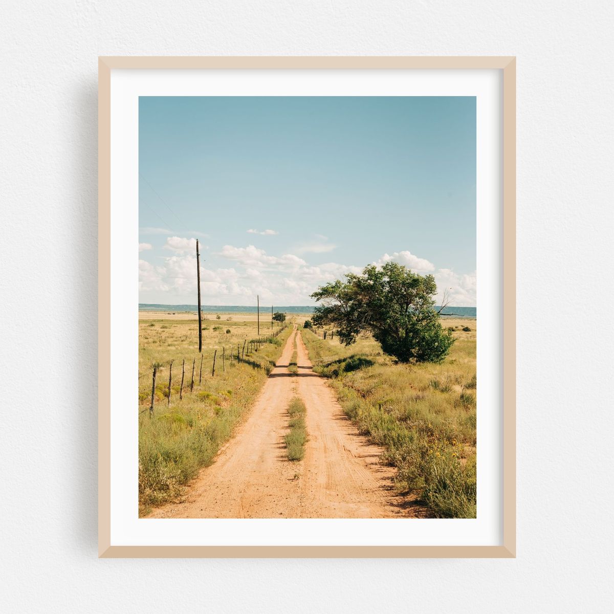 Dirt Road, New Mexico 04 – image 1 of 12