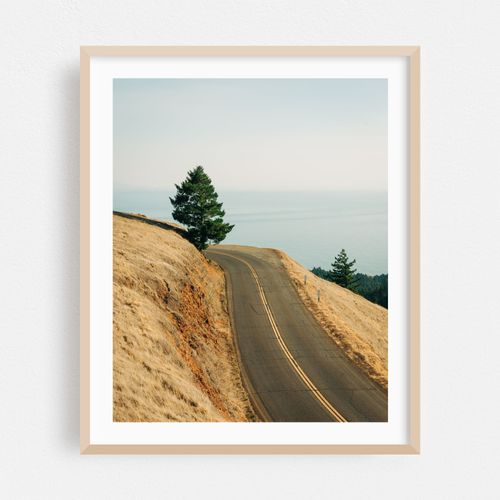 Mount Tamalpais Road 01