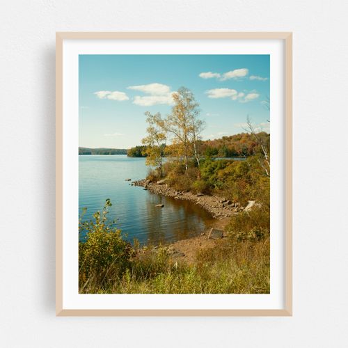 Tupper Lake Shoreline