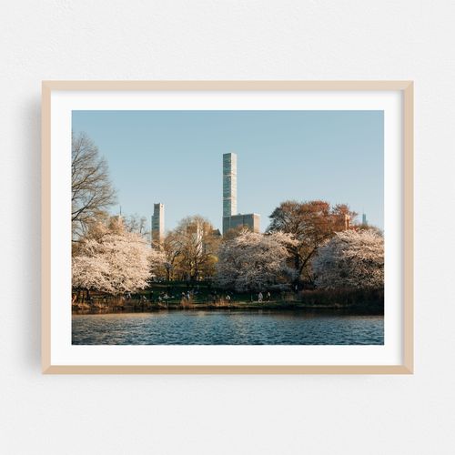 Cherry Hill, Central Park