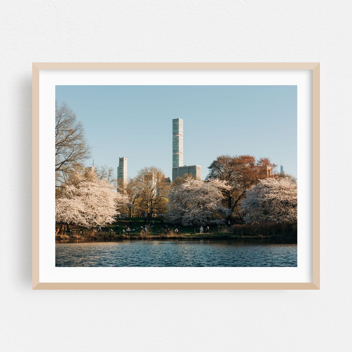 Cherry Hill, Central Park – image 1 of 3