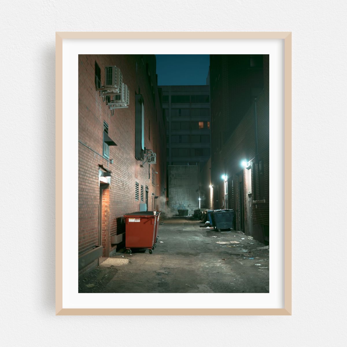 Alley, Downtown Erie – image 1 of 12